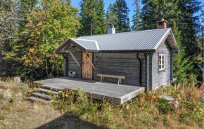 Gorgeous Home In Sälen With Sauna